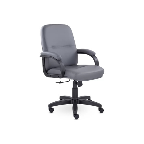 Кресло руководителя Пилот Н (Пластик-Люкс 727) (Экокожа) Кресло руководителя Пилот Н (Пластик-Люкс 727) (Экокожа)