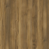 Сандал Янтарный